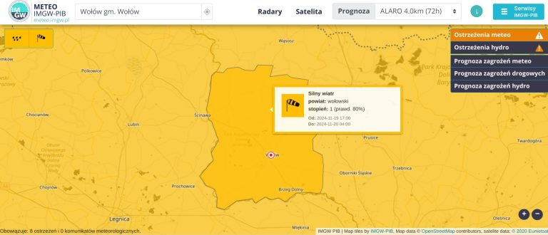 Ostrzeżenia meteorologiczne: silny wiatr