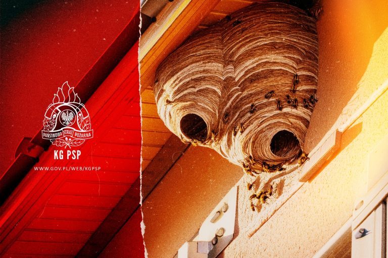 Źródło: Państwowa Straż Pożarna